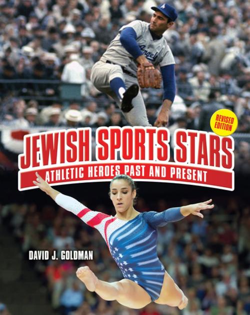 Cover of the book Jewish Sports Stars by David J. Goldman, Lerner Publishing Group