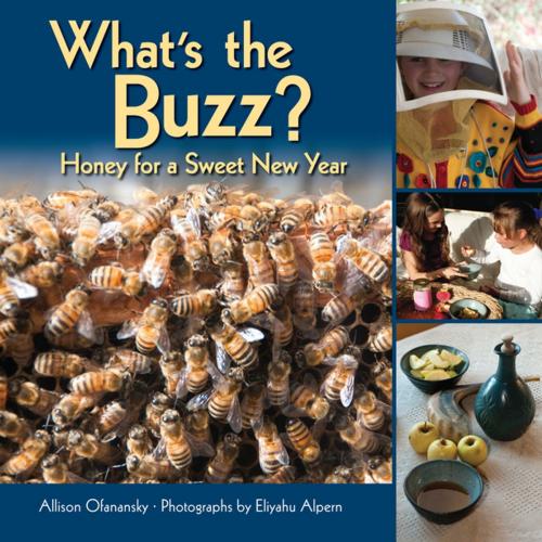 Cover of the book What's the Buzz? by Allison Maile Ofanansky, Lerner Publishing Group