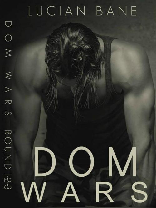 Cover of the book Dom Wars Round 1, 2, 3 by Lucian Bane, Lucian Bane