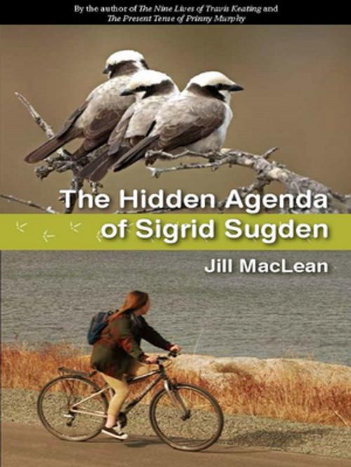 Cover of the book The Hidden Agenda of Sigrid Sugden by Jill MacLean, Fitzhenry & Whiteside