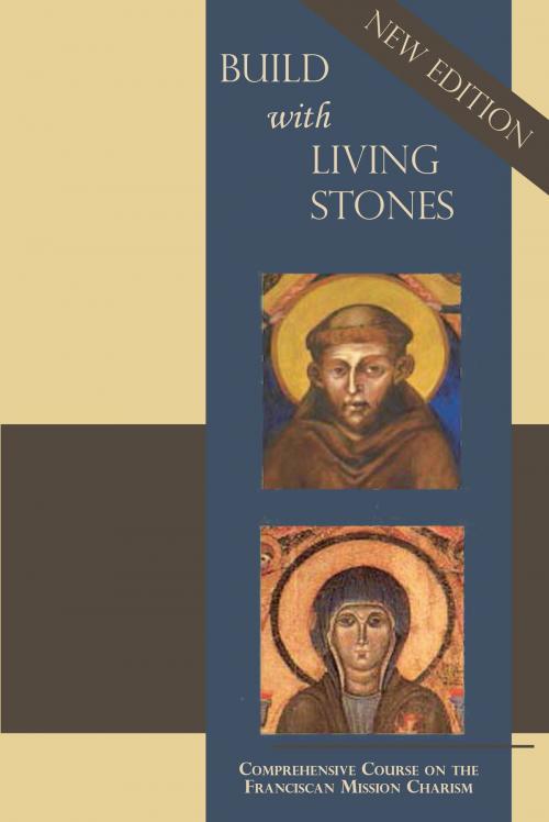 Cover of the book Build With Living Stones by Daria Mitchell, The Franciscan Institute