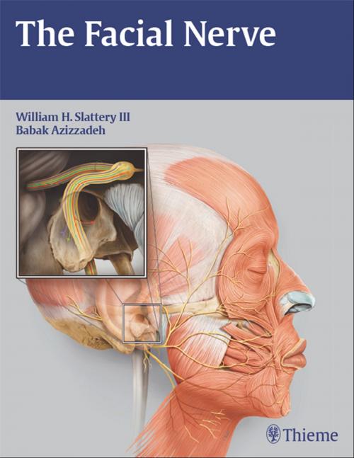 Cover of the book Facial Nerve by , Thieme