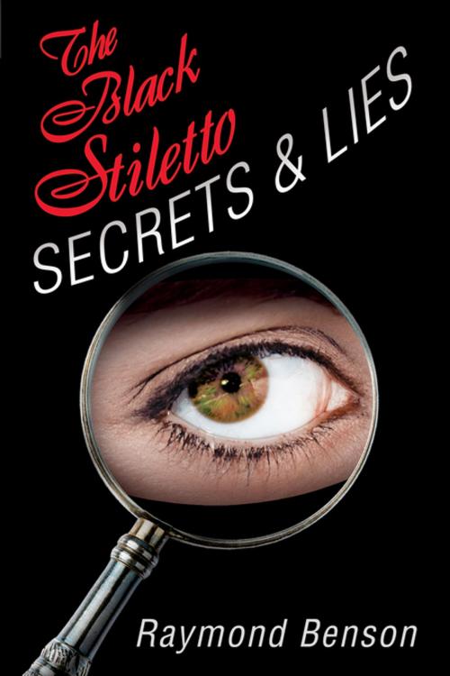 Cover of the book The Black Stiletto: Secrets & Lies by Raymond Benson, Oceanview Publishing