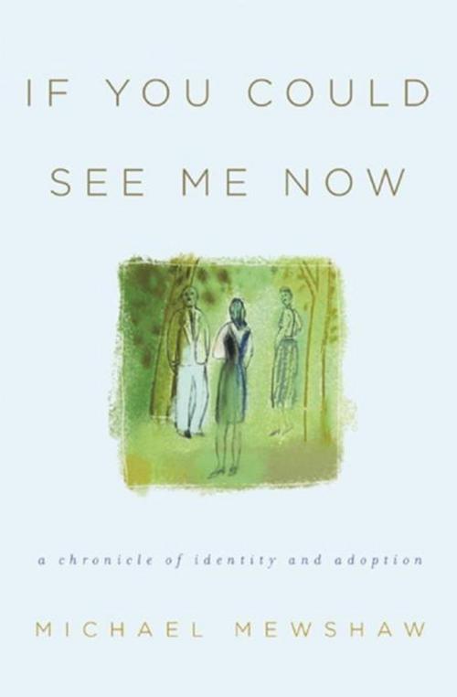Cover of the book If You Could See Me Now by Michael Mewshaw, Unbridled Books