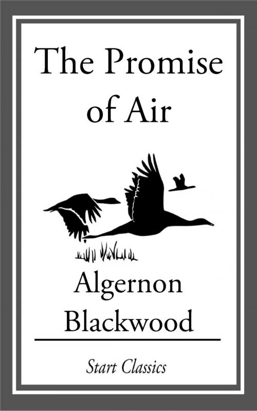 Cover of the book The Promise of Air by Algernon Blackwood, Start Classics