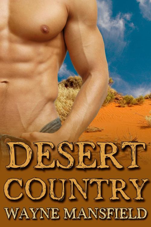Cover of the book Desert Country by Wayne Mansfield, JMS Books LLC