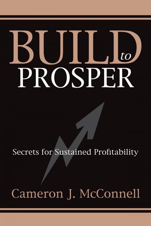Cover of the book Build to Prosper by Cameron J. McConnell, Brown Books Publishing Group