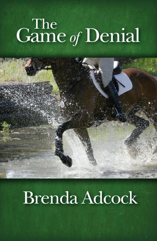 Cover of the book The Game of Denial by Brenda Adcock, Regal Crest Enterprises