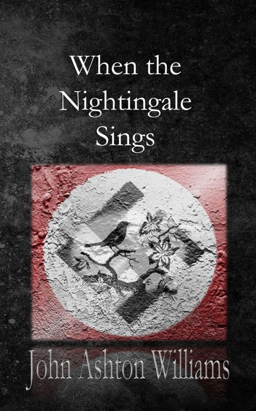 Cover of the book When the Nightingale Sings by John Ashton Williams, First Edition Design Publishing