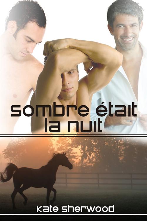 Cover of the book Sombre était la nuit by Kate Sherwood, Dreamspinner Press