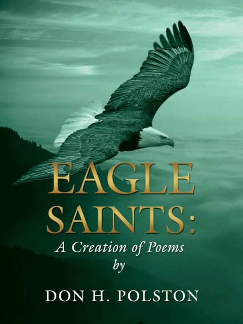 Cover of the book Eagle Saints by Don H. Polston, Don H. Polston