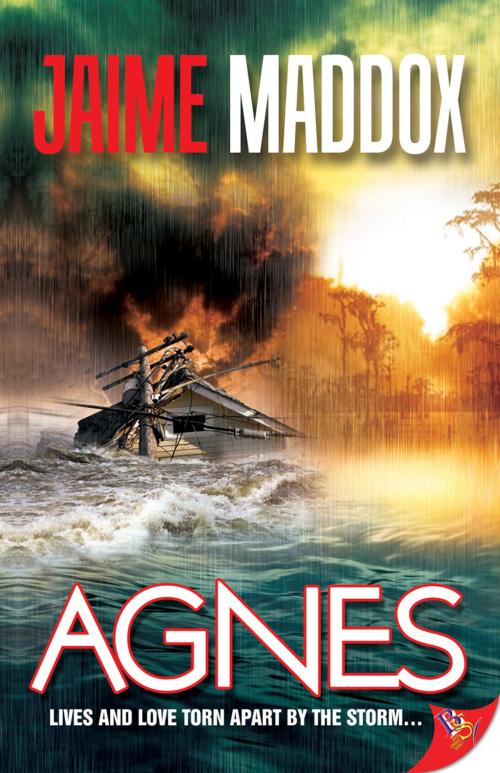 Cover of the book Agnes by Jaime Maddox, Bold Strokes Books ,  Inc.