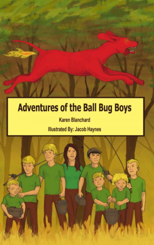 Cover of the book ADVENTURES OF THE BALL BUG BOYS by Karen Blanchard, Jacob Haynes (Illustrator), BookLocker.com, Inc.
