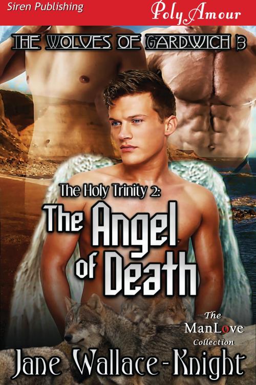 Cover of the book The Holy Trinity 2: The Angel of Death by Jane Wallace-Knight, Siren-BookStrand