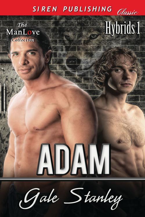Cover of the book Adam by Gale Stanley, Siren-BookStrand