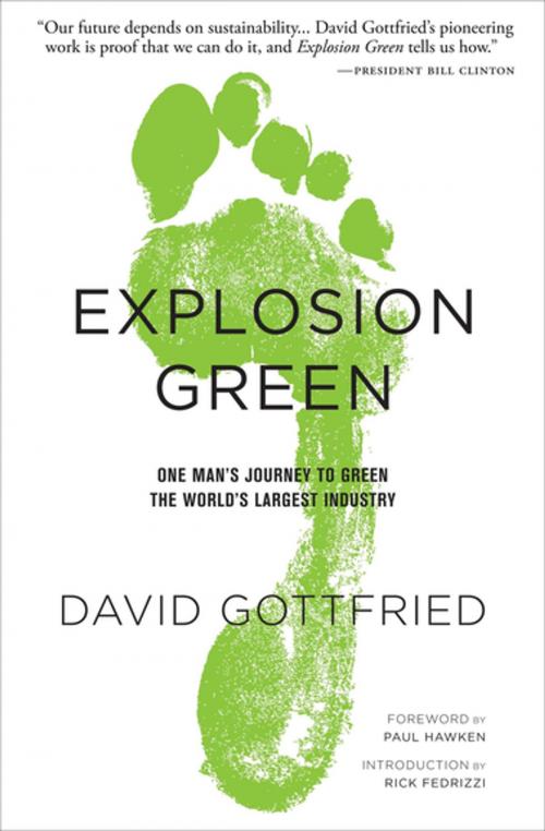 Cover of the book Explosion Green by David Gottfried, Morgan James Publishing