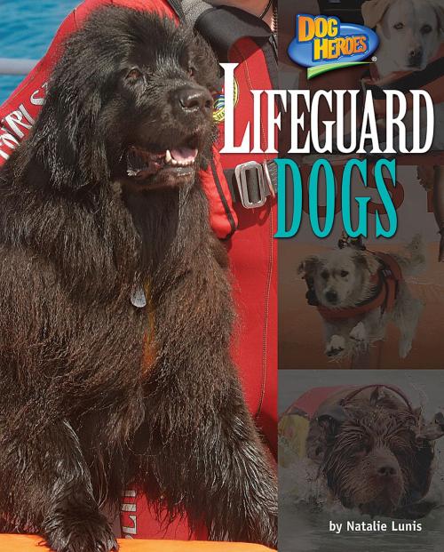 Cover of the book Lifeguard Dogs by Natalie Lunis, Bearport Publishing