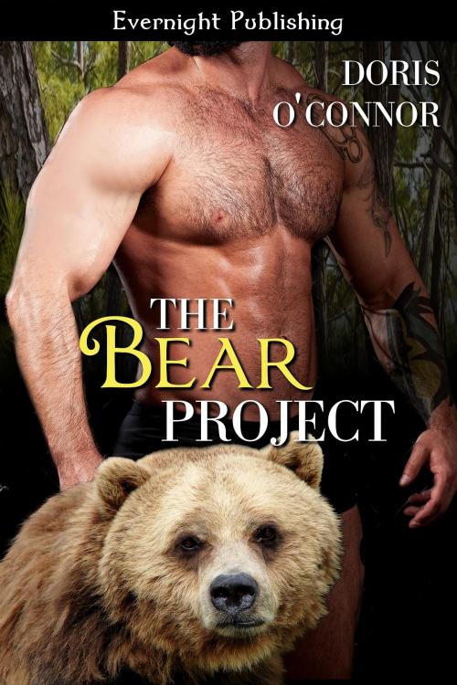 Cover of the book The Bear Project by Doris O'Connor, Evernight Publishing