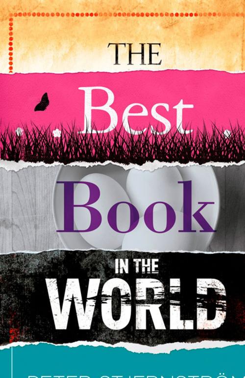 Cover of the book The Best Book in the World by Peter Stjernström, Hesperus Press