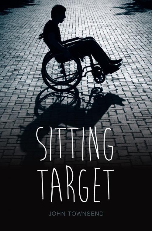 Cover of the book Sitting Target by John Townsend, Badger Learning