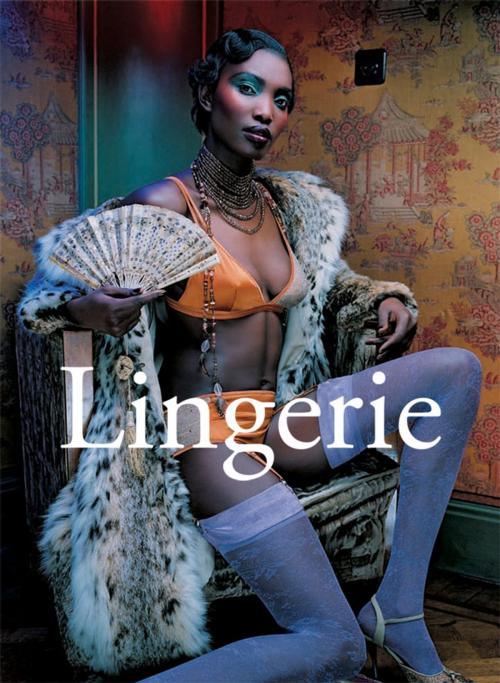 Cover of the book Lingerie by Klaus Carl, Parkstone International