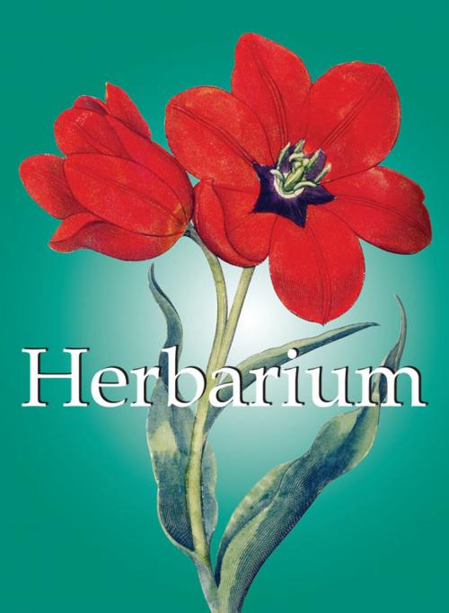 Cover of the book Herbarim by Klaus Carl, Parkstone International