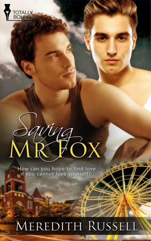 Cover of the book Saving Mr Fox by Meredith Russell, Totally Entwined Group Ltd