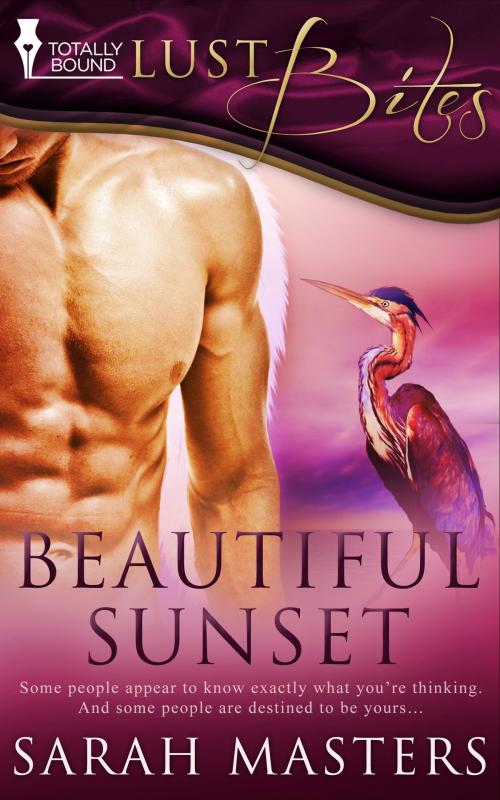 Cover of the book Beautiful Sunset by Sarah Masters, Totally Entwined Group Ltd