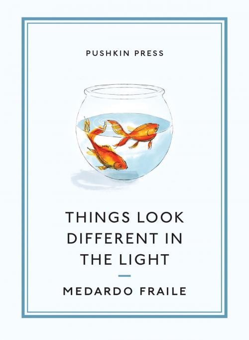 Cover of the book Things Look Different in the Light & Other Stories by Medardo Fraile, Ali Smith, Steerforth Press