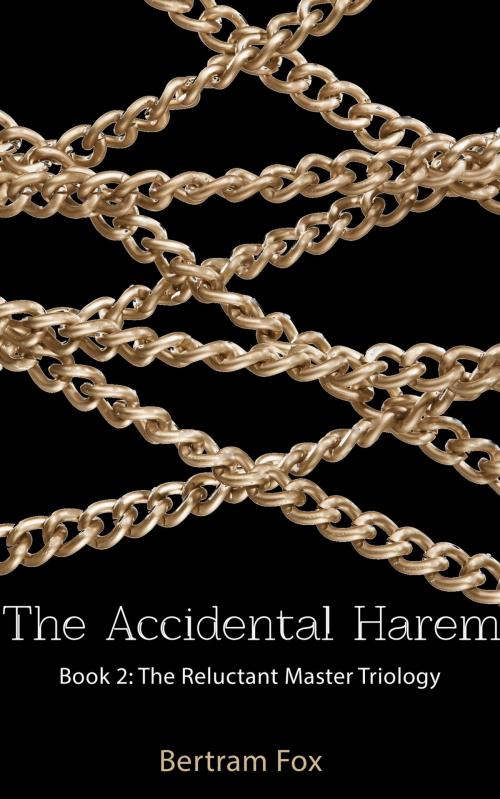 Cover of the book The Accidental Harem by Bertram Fox, Xcite Books
