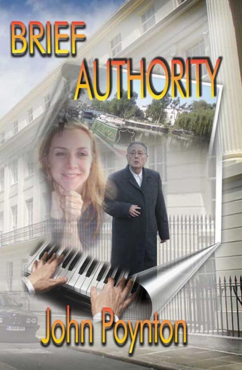 Cover of the book Brief Authority by John Poynton, Kima Global Publishers