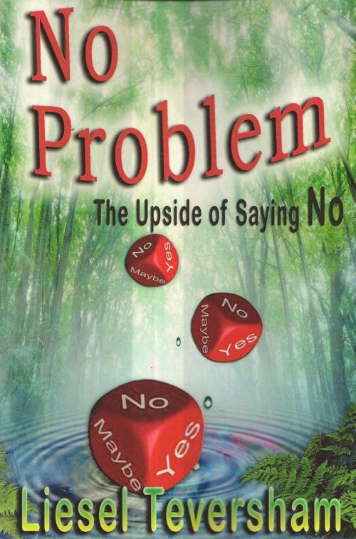Cover of the book No Problem by Liesel Teversham, Kima Global Publishers