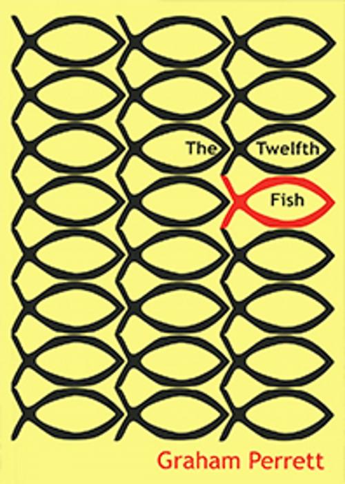 Cover of the book The Twelfth Fish by Graham Perrett, Boolarong Press