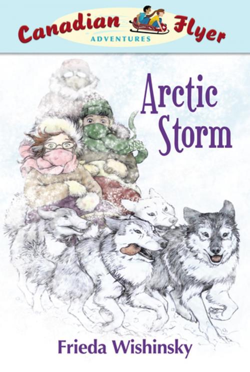 Cover of the book Arctic Storm by Frieda Wishinsky, Owlkids Books Inc.