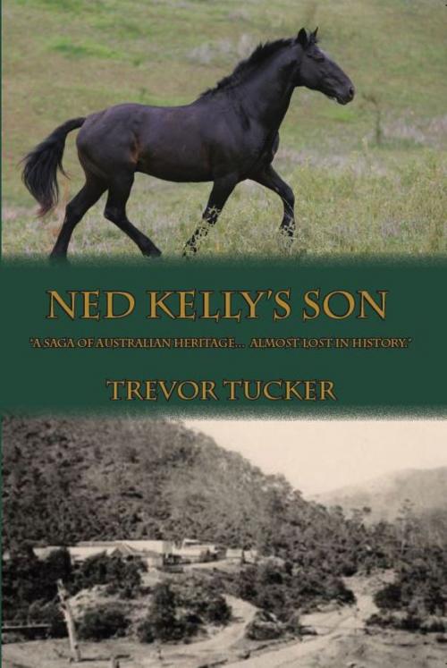 Cover of the book Ned Kelly's Son by Trevor Tucker, Dream Write Publishing