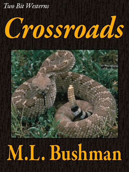 Cover of the book Crossroads by M.L. Bushman, Jigsaw Press