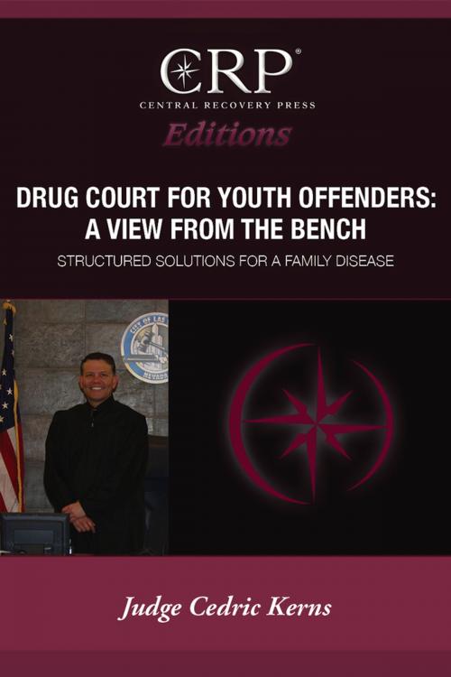 Cover of the book Drug Court for Young Offenders: A View from the Bench by Cedric Kerns, Central Recovery Press, LLC