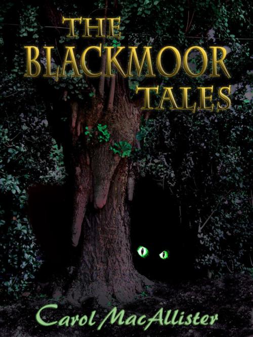 Cover of the book THE BLACKMOOR TALES by Carol MacAllister, Northampton House