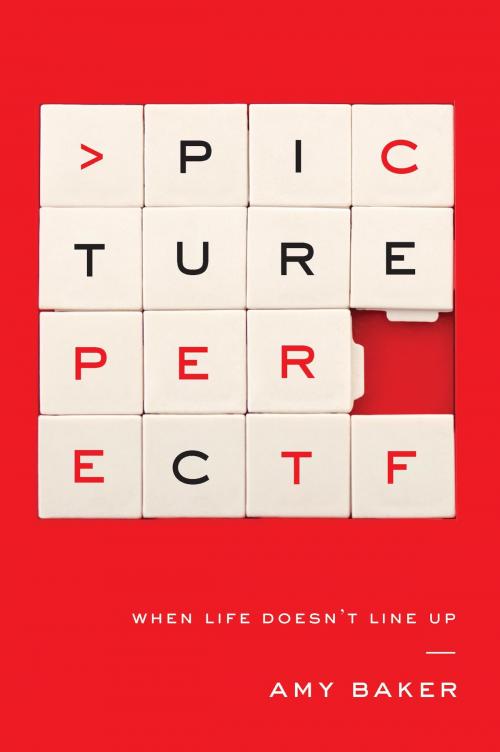 Cover of the book Picture Perfect by Amy Baker, New Growth Press