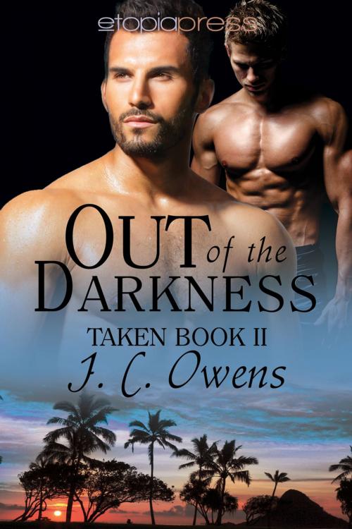 Cover of the book Out of the Darkness by J. C. Owens, Etopia Press