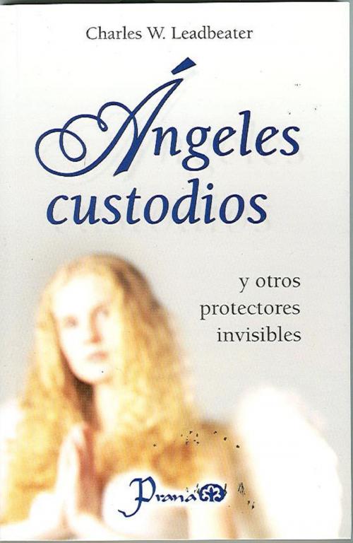 Cover of the book Angeles custodios y otros protectores invisibles by Charles W. Leadbeater, LD Books - Lectorum
