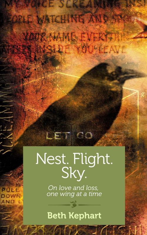 Cover of the book Nest. Flight. Sky. by Beth Kephart, She Writes Press