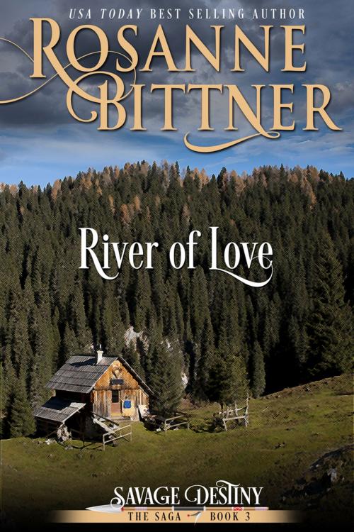 Cover of the book River of Love by Rosanne Bittner, Diversion Books
