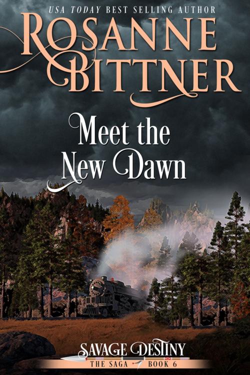 Cover of the book Meet the New Dawn by Rosanne Bittner, Diversion Books