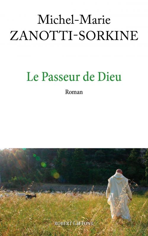 Cover of the book Le Passeur de Dieu by Michel-Marie ZANOTTI-SORKINE, Groupe Robert Laffont