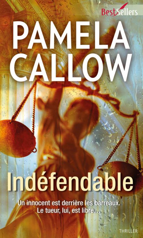 Cover of the book Indéfendable by Pamela Callow, Harlequin