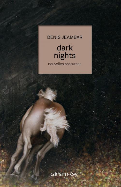 Cover of the book Dark nights by Denis Jeambar, Calmann-Lévy