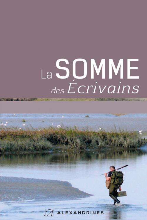 Cover of the book La Somme des écrivains by Collectif, Éditions Alexandrines