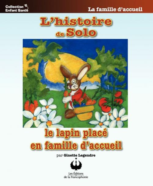 Cover of the book L'histoire de Solo le lapin placé en famille d'accueil by Ginette Legendre, Editions des Merisiers