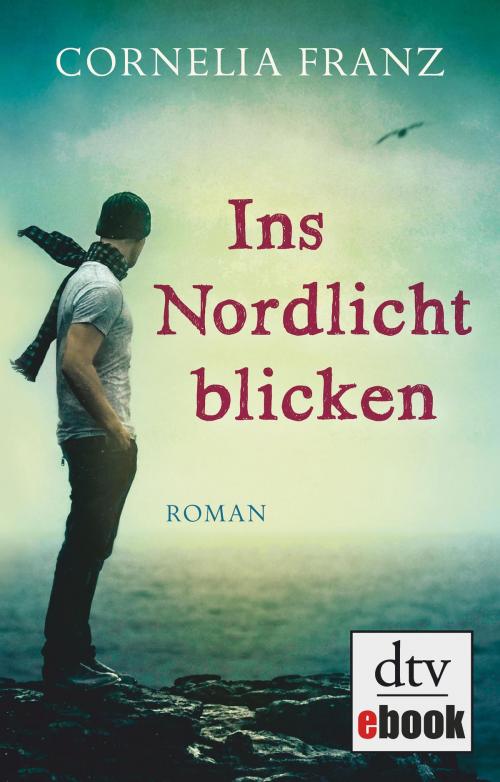 Cover of the book Ins Nordlicht blicken by Cornelia Franz, dtv
